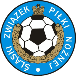 Slaski zwiazek piłki nożnej